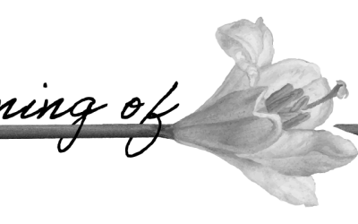 Online Service For Sunday October 11, 2026